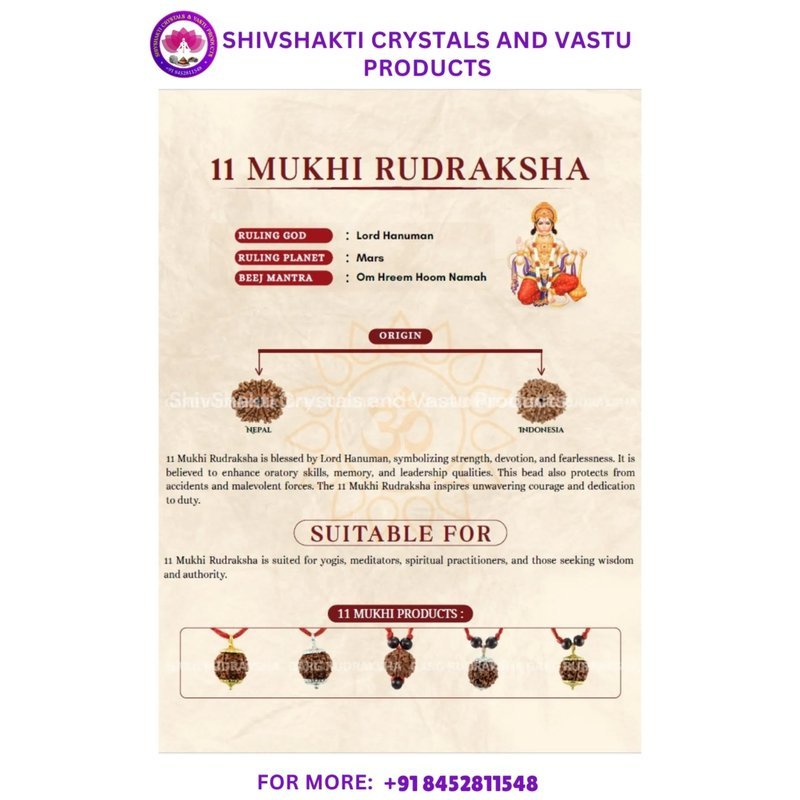11 Face Rudraksha