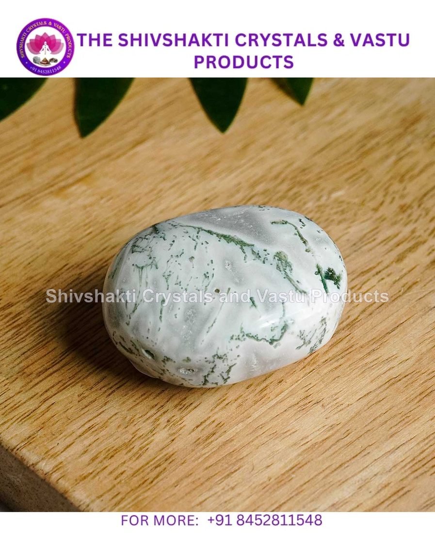 Agate Palm Stone