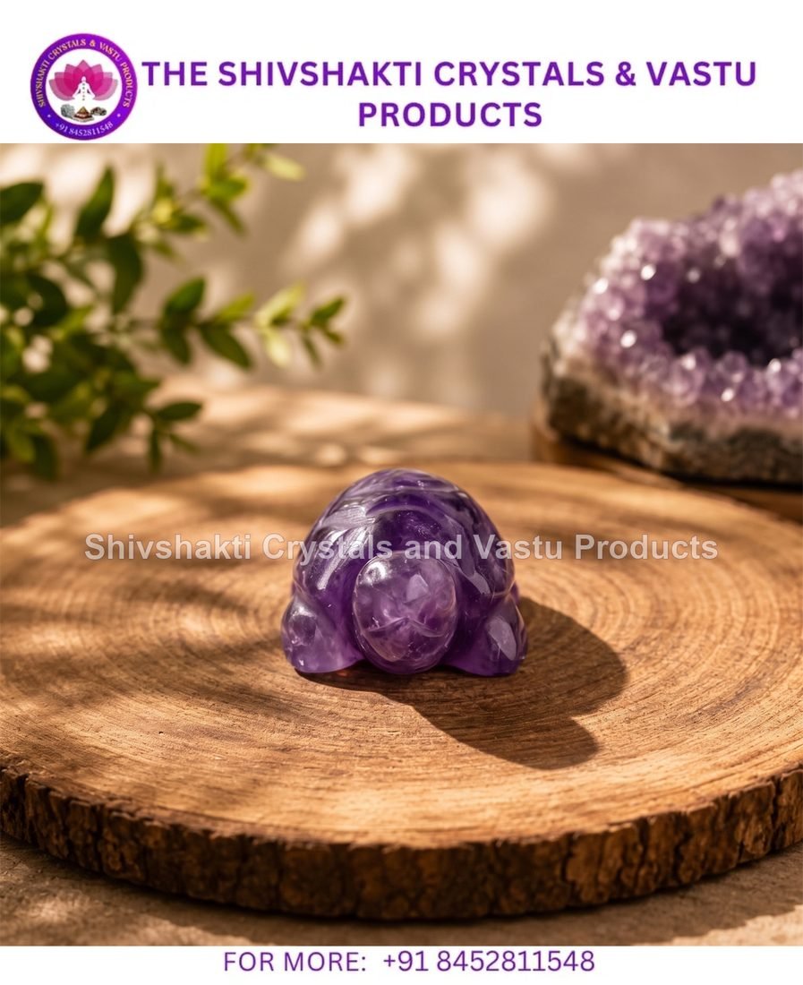 Amethyst Small Tortoise Plain