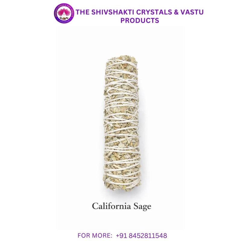 California White Sage