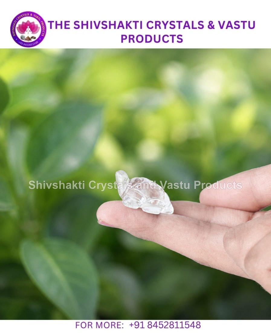 Clear Quartz Small Tortoise Plain