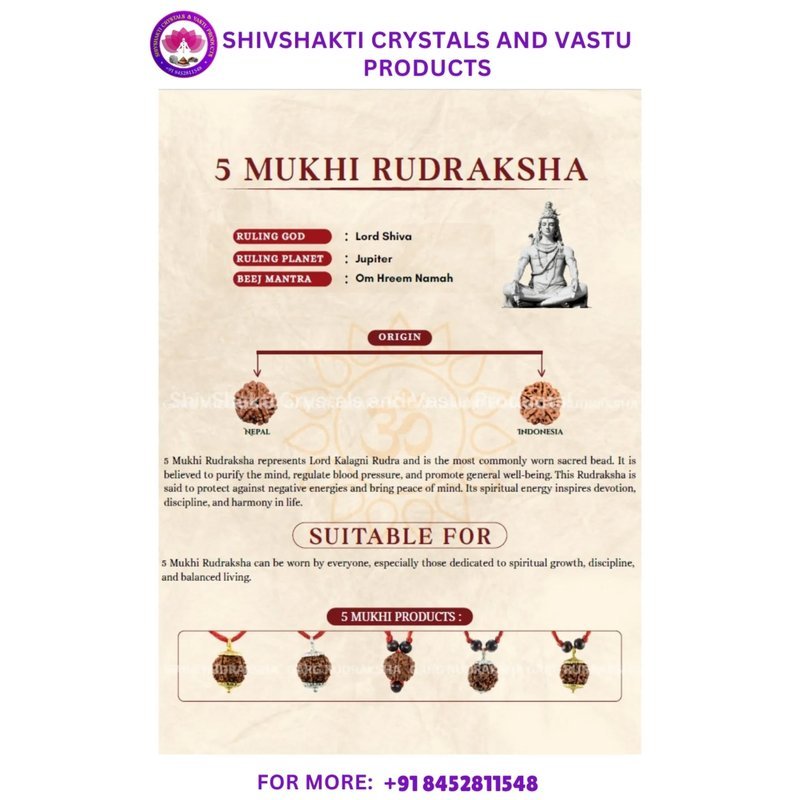 Five Face Rudraksha