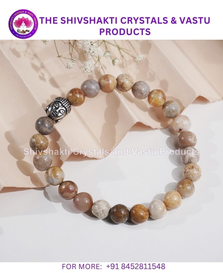 Fossil Jasper Buddha Bracelet 8 mm