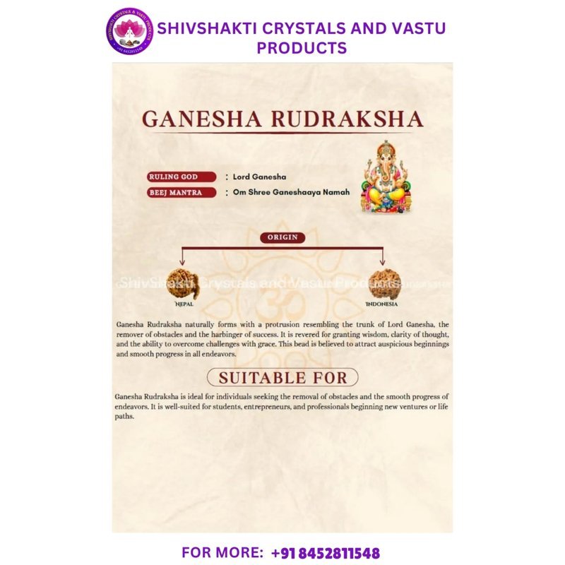 Ganesh Face Rudraksha