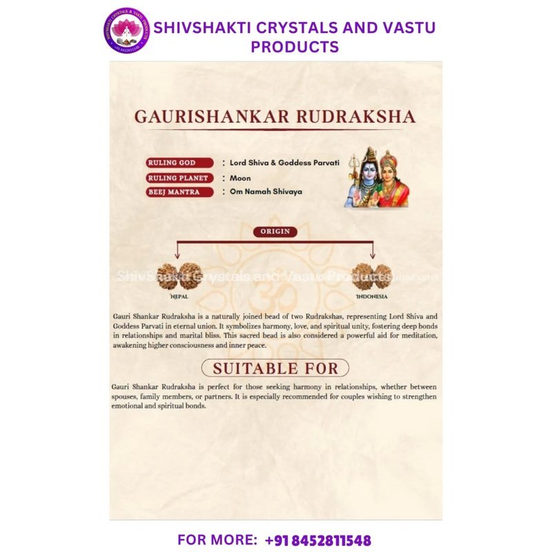 Gauri Shankar Rudraksha