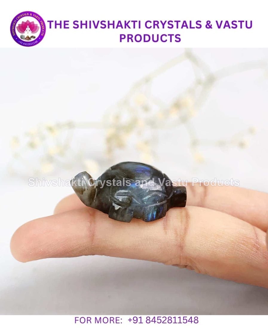 Labradorite Small Tortoise Plain