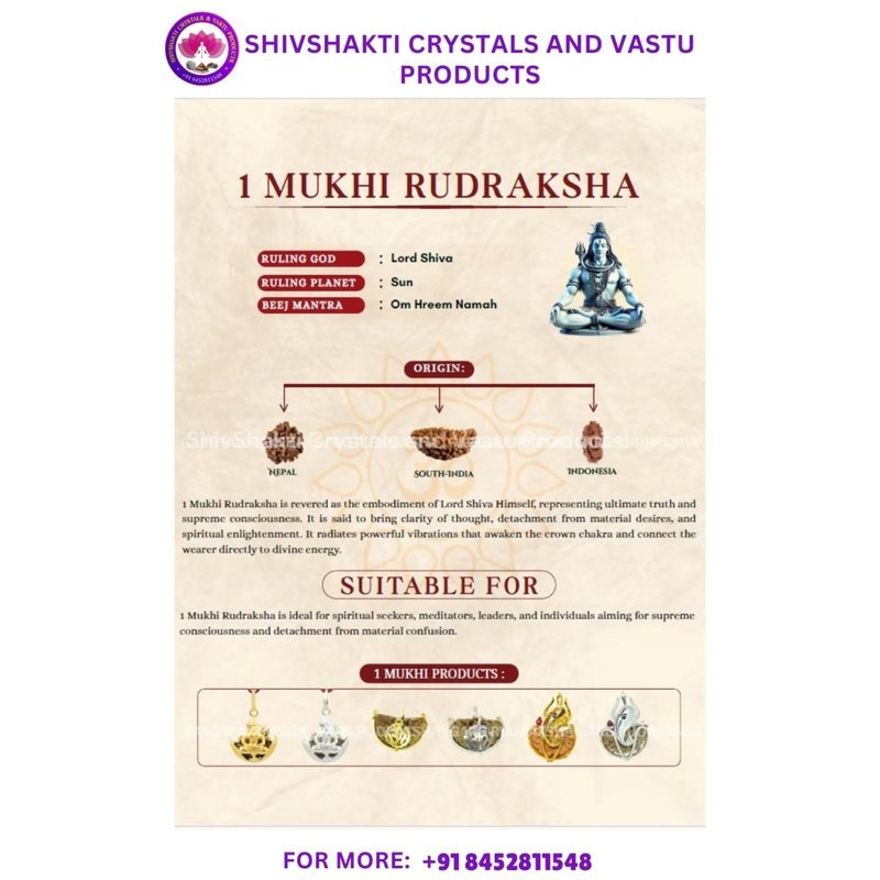 One Face Rudraksha