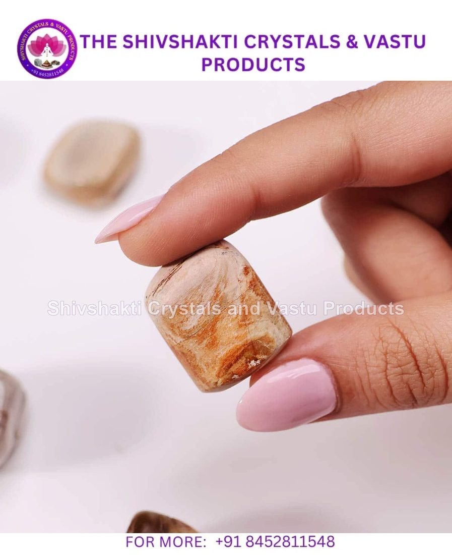 Petrified Tumble Stones