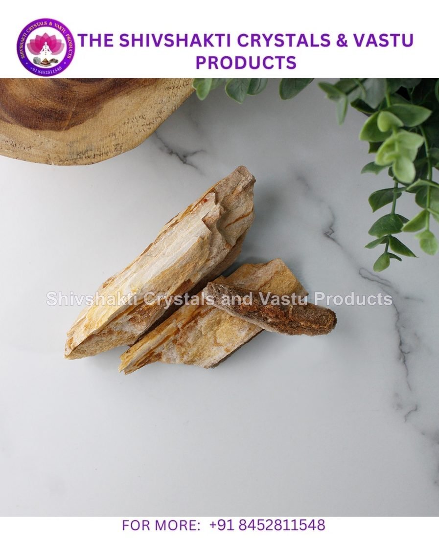 Petrified Wood Raw Stone
