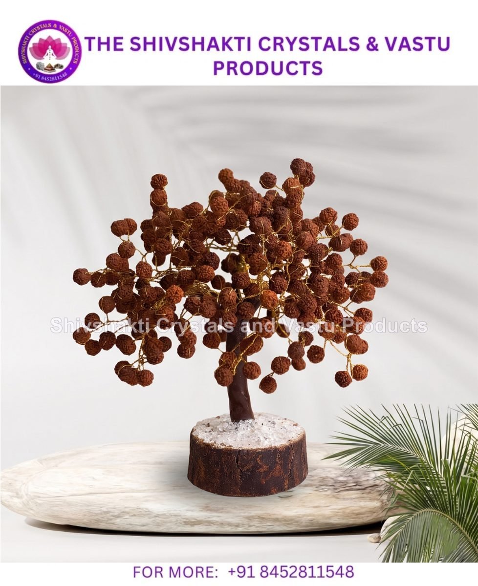 Rudraksh Tree 300B MSeal