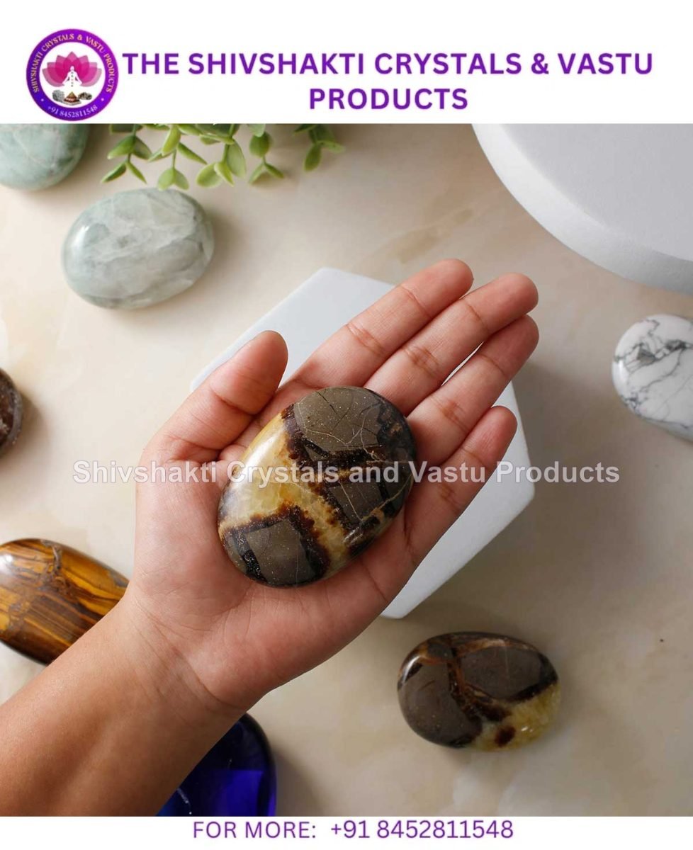 Septarian Palm Stone