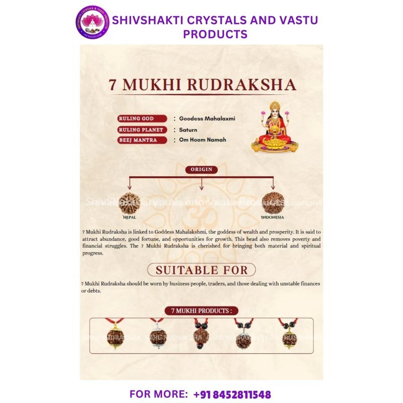 Seven Face Rudraksha