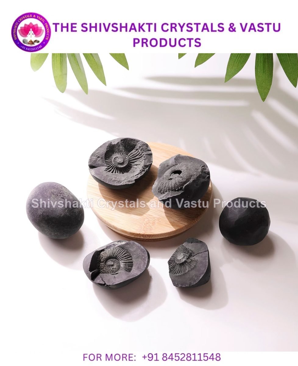 Shaligram Raw Stone