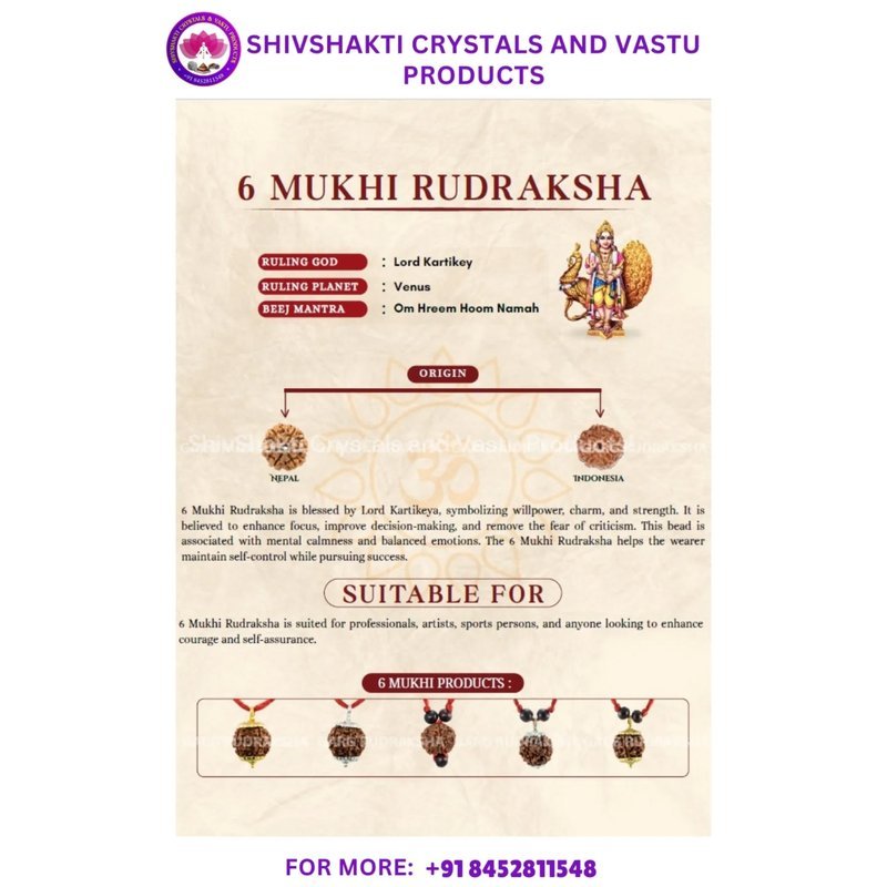 Six Face Rudraksha