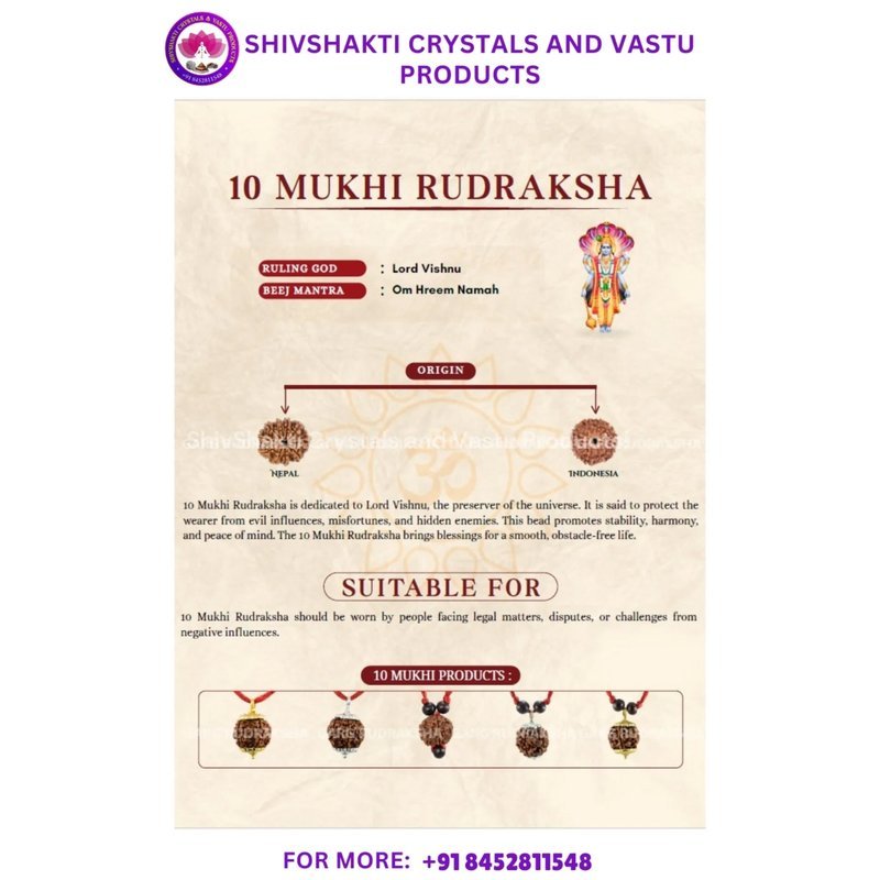 Ten Face Rudraksha