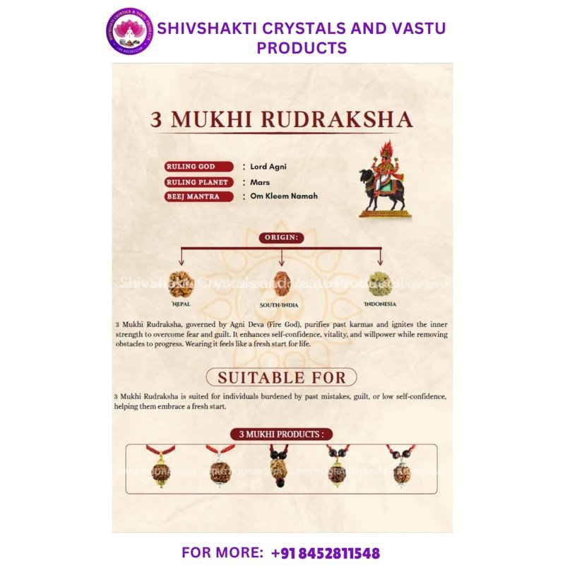 Three Face Rudraksha
