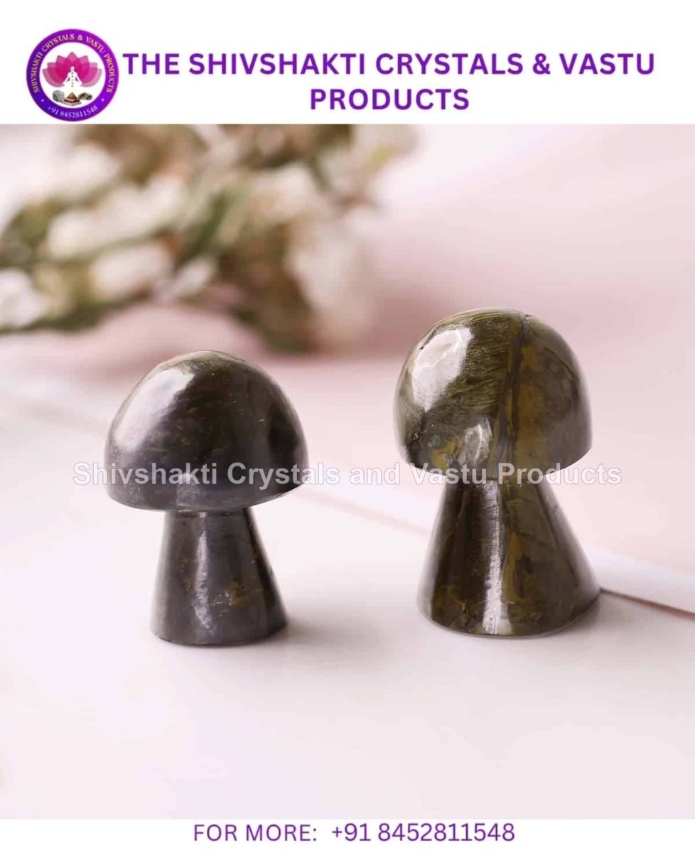 Tiger Eye Mushroom