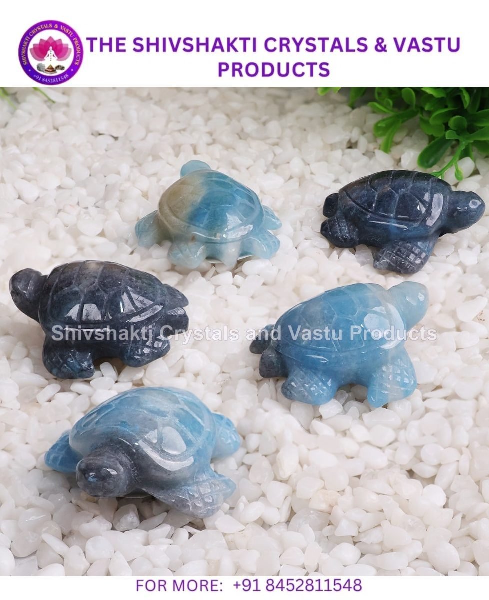 Trolleite Turtle