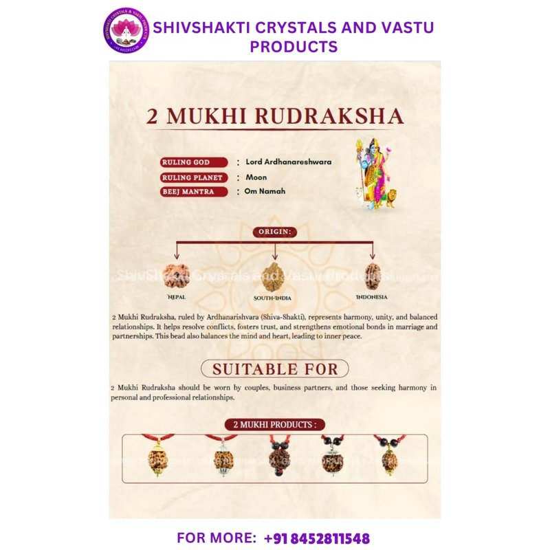 Two Face Rudraksha